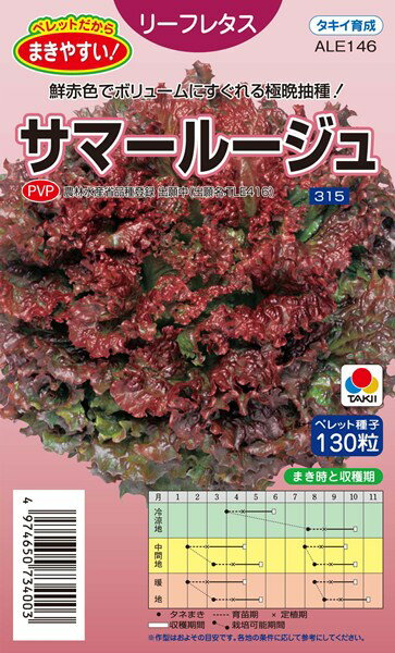 リーフレタス 種 『サマールージュ』 ALE146 タキイ種苗/ペレット小袋130粒