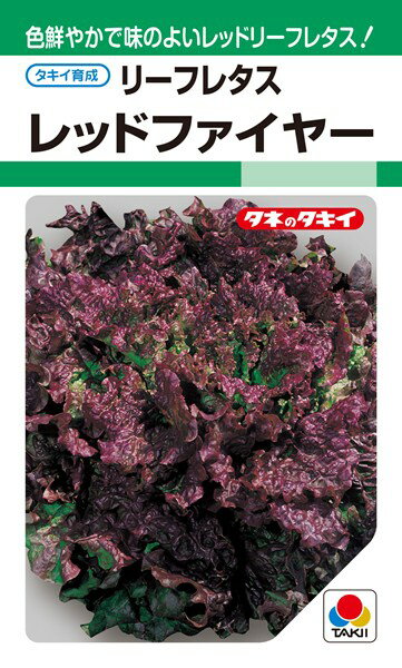 サニーレタス 種 『レッドファイヤー』 ALE530 タキイ種苗/0.6ml(MF)のサムネイル