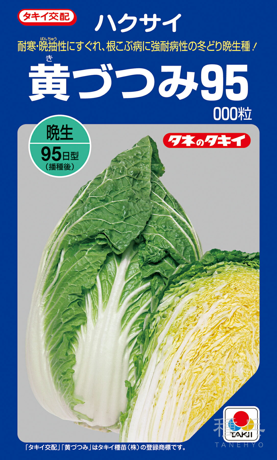 黄芯秋冬どりハクサイ 種 『黄づつ�