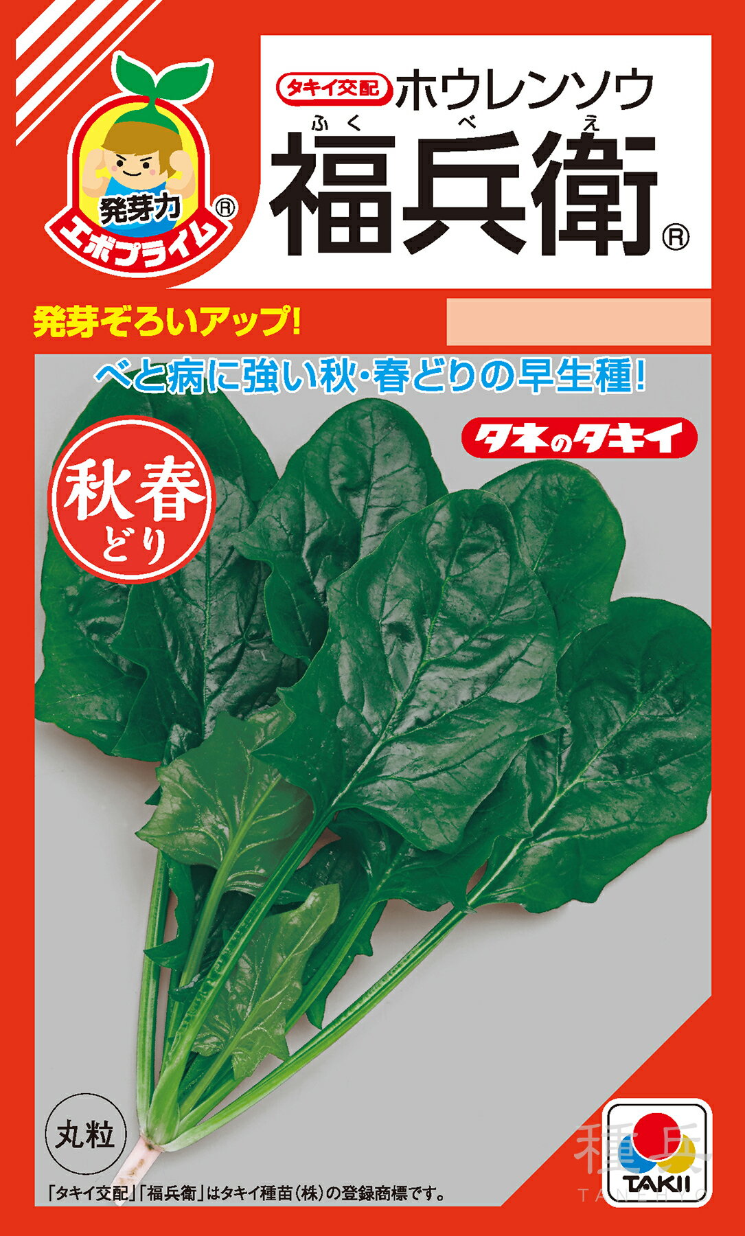 秋冬どりホウレンソウ 種 『福兵衛』 ASP060 タキイ種苗