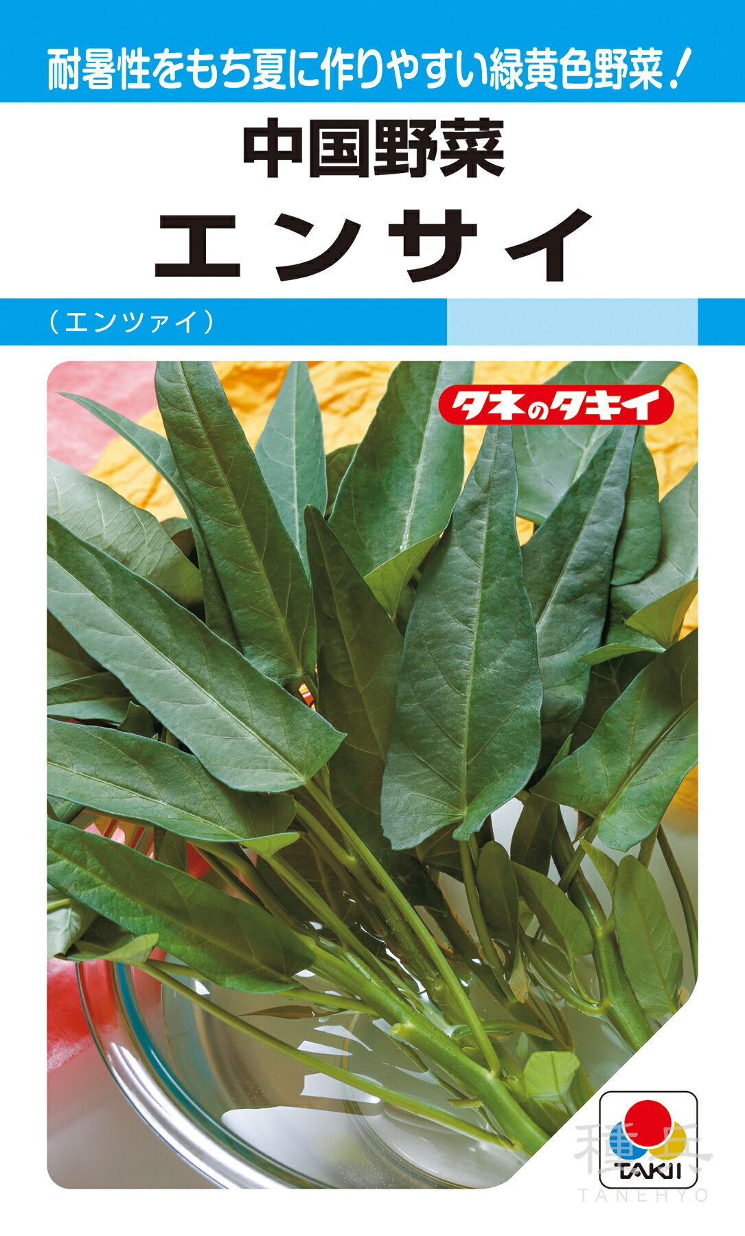 中国野菜 種 『エンサイ（エンツァイ）』 ATY581 タキ