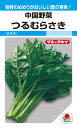 中国野菜 種 『つるむらさき(緑茎種)』 ATY582 タキイ種苗