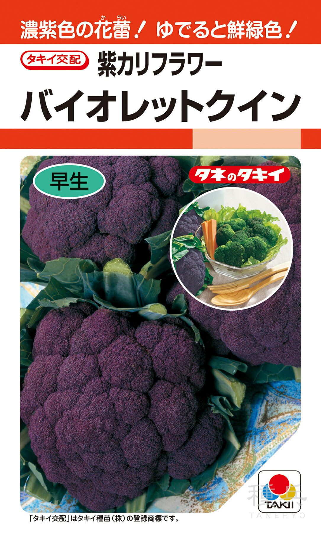 紫カリフラワー 種 『バイオレットクイン』 ASB091 タキイ種苗