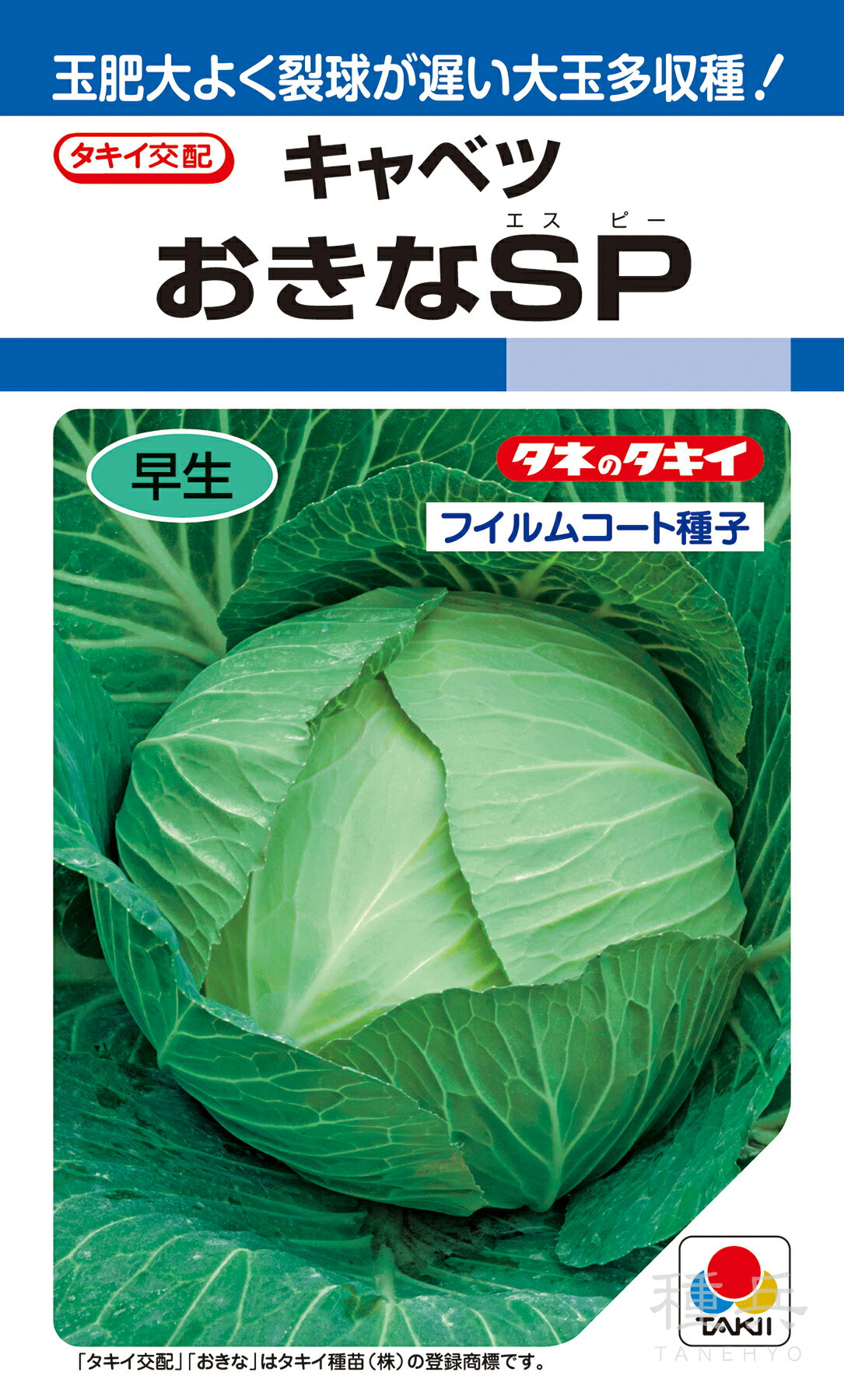 寒玉系夏秋どり 種 『おきなSP』 ACA0E9 タキイ種苗