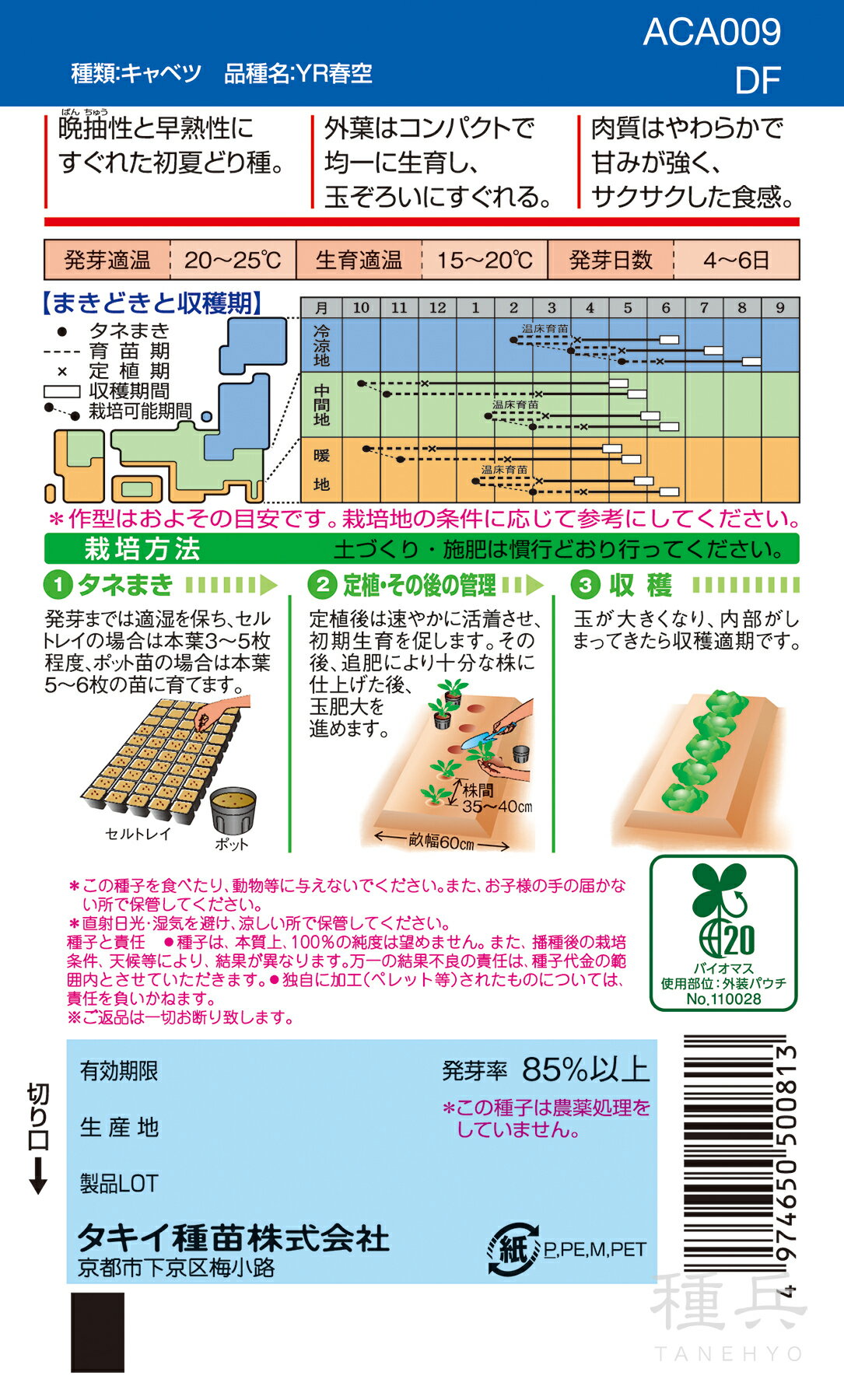寒玉系初夏どりキャベツ 種 『YR春空』 ACA009 タキイ種苗 2