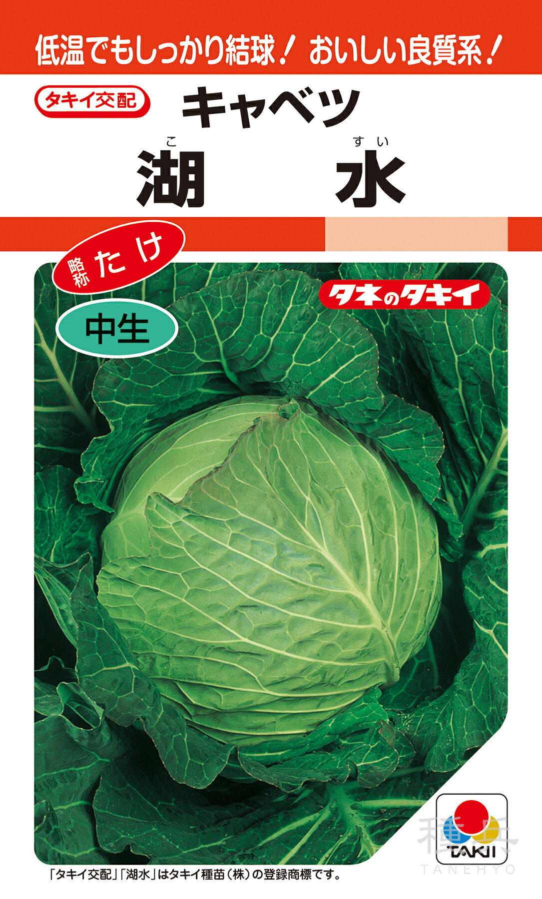 春系及び春キャベツ 種 『湖水』 ACA057 タキイ種苗のサムネイル