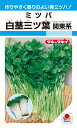 ミツバ 種 『白茎三ツ葉(関東系)』 AMT102 タキイ種苗