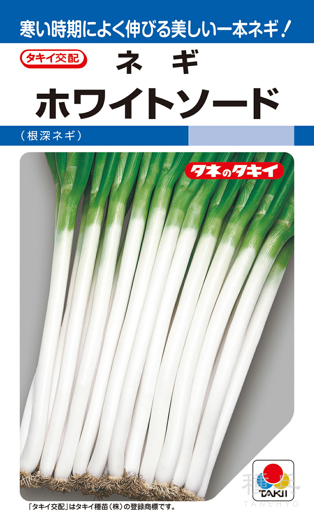 根深ネギ 種 『ホワイトソード』 ANE073 タキイ種苗のサムネイル