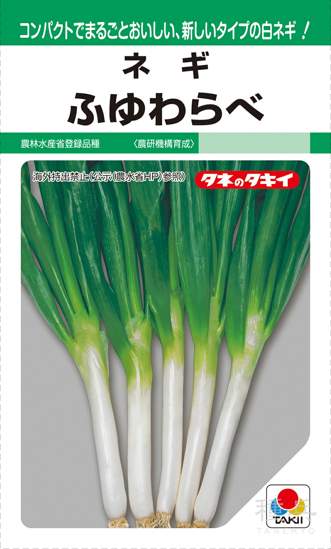 根深ネギ 種 『ふゆわらべ』 ANE249 タキイ種苗