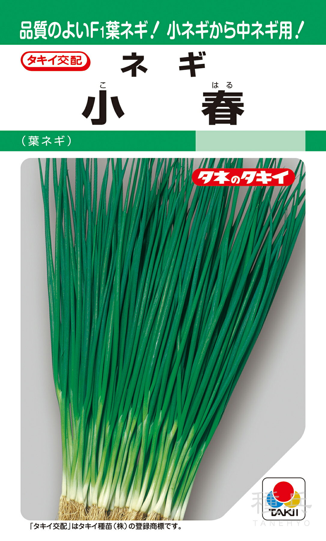 葉ネギ 種 『小春』 ANE003 タキイ種苗のサムネイル