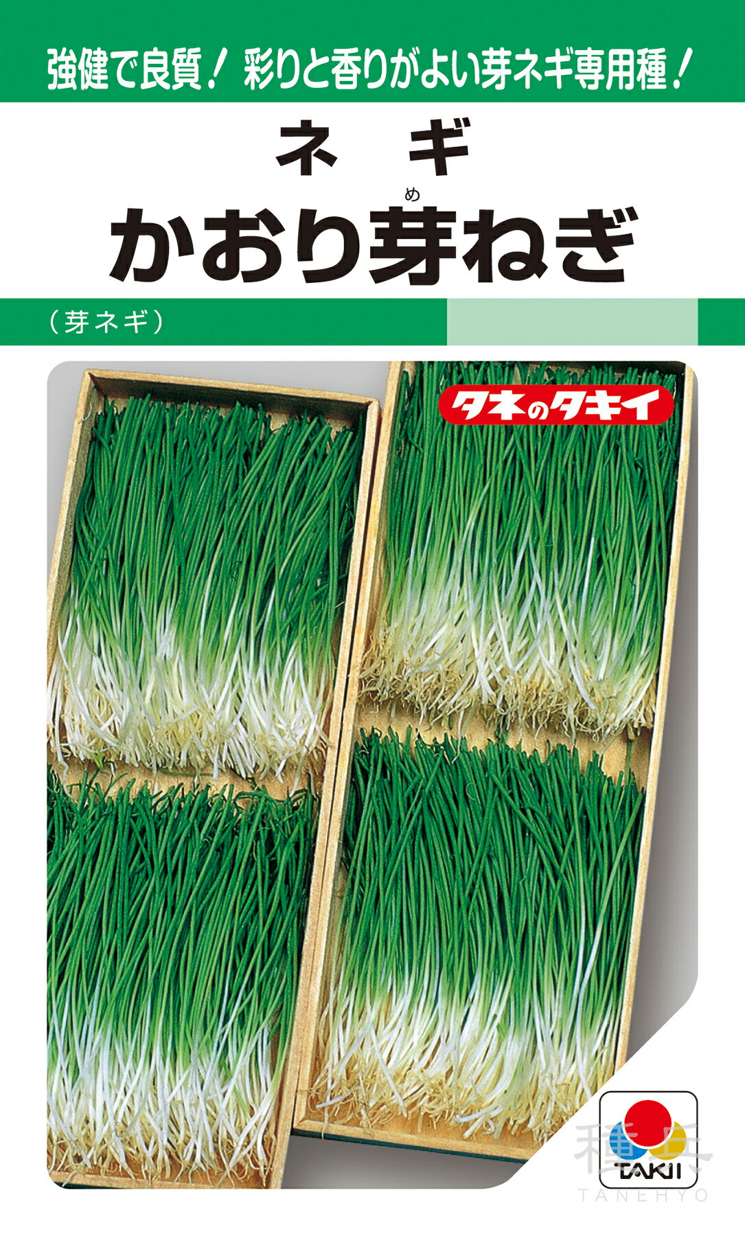 葉ネギ 種 『かおり芽ねぎ』 ANE151 タキイ種苗