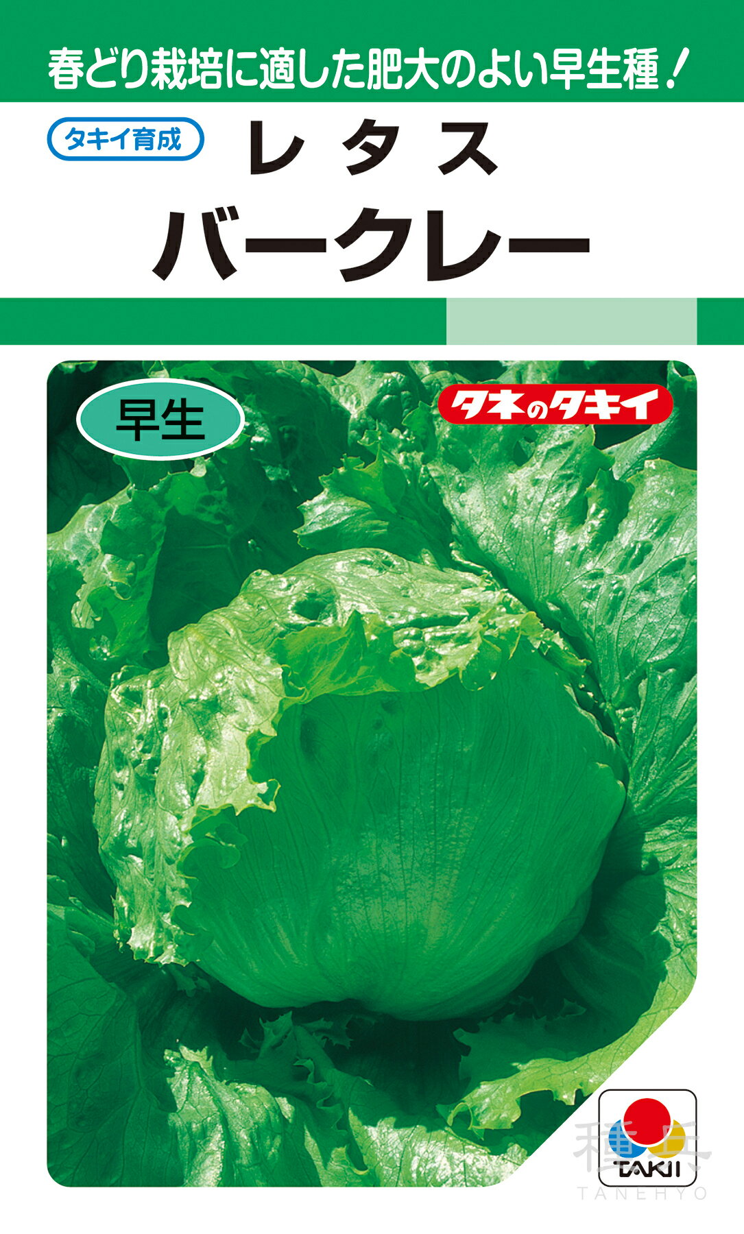 結球レタス 種 『バークレー』 ALE130 タキイ種苗