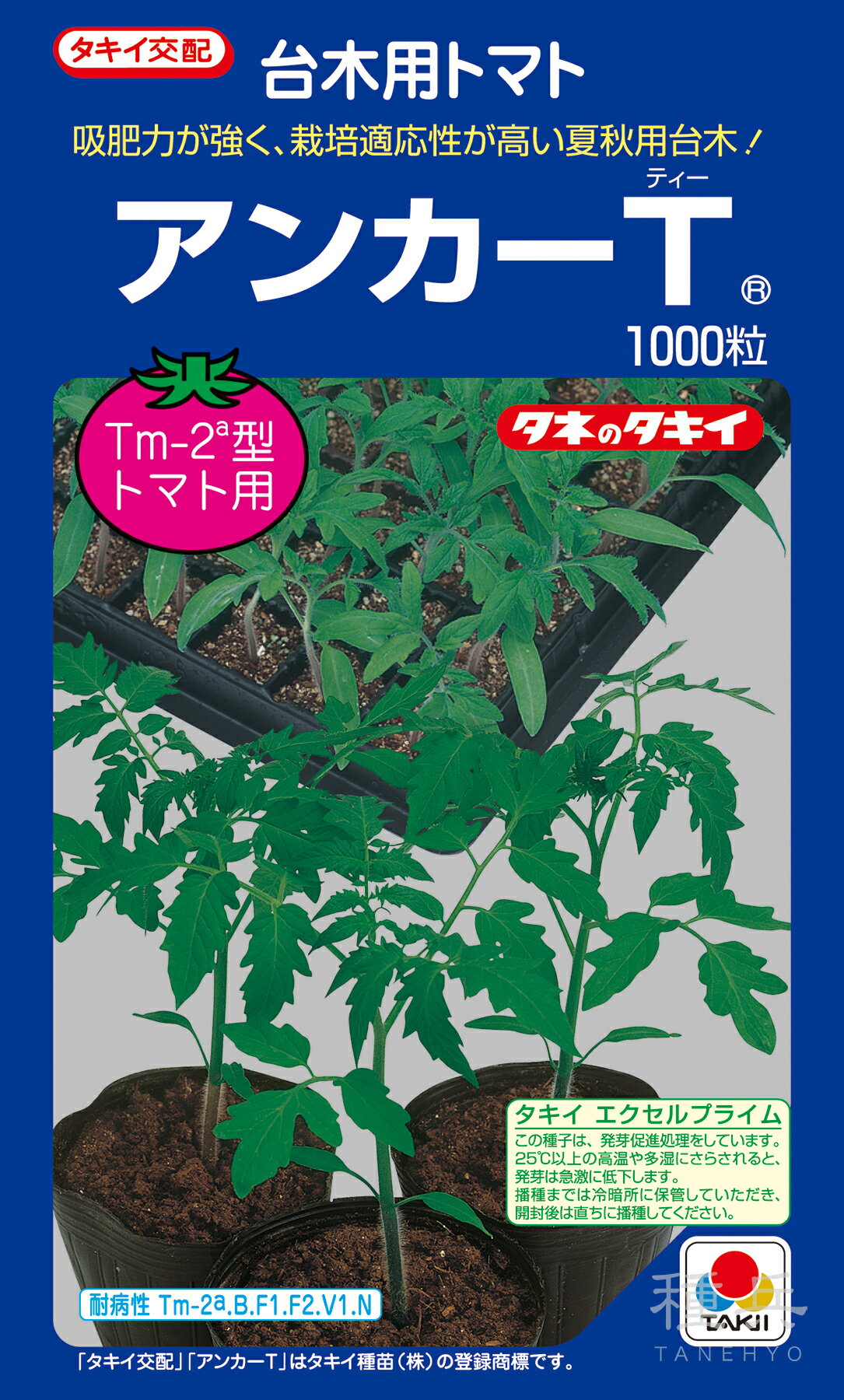 吸肥力が強く、栽培適応性が高い夏秋用台木！【特長】●トマトモザイクウイルス（Tm-2a型）、青枯病（B）、萎凋病レース1（F1）およびレース2（F2）、半身萎凋病（V）、サツマイモネコブ線虫（N）に複合耐病虫性のF1台木。●吸肥力が強く、やせ地や2本仕立て栽培に適する。●夏秋栽培、ハウス抑制栽培への適性が高い。【栽培の要点】●穂木は、Tm-2a型もしくはTm-2型のToMV耐病性品種を使用する。●台木は穂木より、幼苗接ぎの場合で高温期は同時〜1日早まきが目安。●吸肥力が強いので、肥沃地での元肥のチッソ成分量は、自根栽培より2割程度少なくする。 ご注文の際は必ずお読みください 【商品の発送について】 ◆お取り寄せ品につき、出荷までに若干の日数を頂戴しております。通常2〜7営業日程度の出荷となりますが、正月・盆・GW期間などはメーカー休業のため、さらに日数を頂戴する場合があります。 ◆商品は予告なしにメーカー在庫切れまたは廃盤になる可能性があり、発送までしばらくお待ちいただく場合や、キャンセルさせていただく場合があります（メールで連絡いたします）。 ◆ご注文の一部が在庫切れの場合、在庫のある商品を先に出荷し、在庫切れ品は入荷後の出荷とさせていただきます（後送分の送料は当店にて負担致します）。 ◆メール便は普通郵便を使用し、配達状況の追跡はできません。また、配達に2〜5営業日程度かかり、土日祝日の配達はお休みとなりますので、余裕を持った注文をお願いします。 【種子について】 ◆ご注文時点でのお取り寄せとなりますので、ご注文のタイミングよっては種子の有効期限が短い商品となる場合があります。早すぎるご注文は避け、ご自身の播種時期に合わせたご注文をお願いします。 ◆種子は発芽試験を受けた純良なものをご用意させていただきますが、播種後、温度や水分などが不適な条件下では発芽不良となる場合があります。 ◆栽培条件・天候等により生育に差が生じることがあり、また、結果が異なる場合があります。むやみな早まき遅まきを避け、適期の播種を心がけてください。 ◆種子の本質上、100%の純度は望めません。採種環境などにより異株が若干発生することがあります。 ◆商品のパッケージは、内容量の違いやデザインの変更などにより、掲載の写真と異なる場合があります。 ◆種子小袋の内容量は予告なく変更される場合があり、実際の内容量と若干異なる場合があります。 以上、ご注文に際し予めご了承下さい。