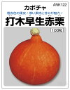 特殊カボチャ 種 『打木早生赤栗』 ANK122 タキイ種苗