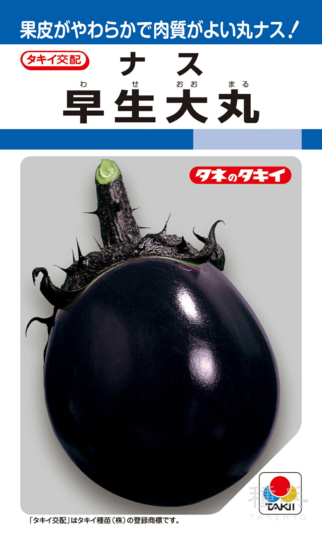 ʼͥåȥåԥ󥰤㤨ִݥʥ  ݡ ANA001 ġפβǤʤ638ߤˤʤޤ