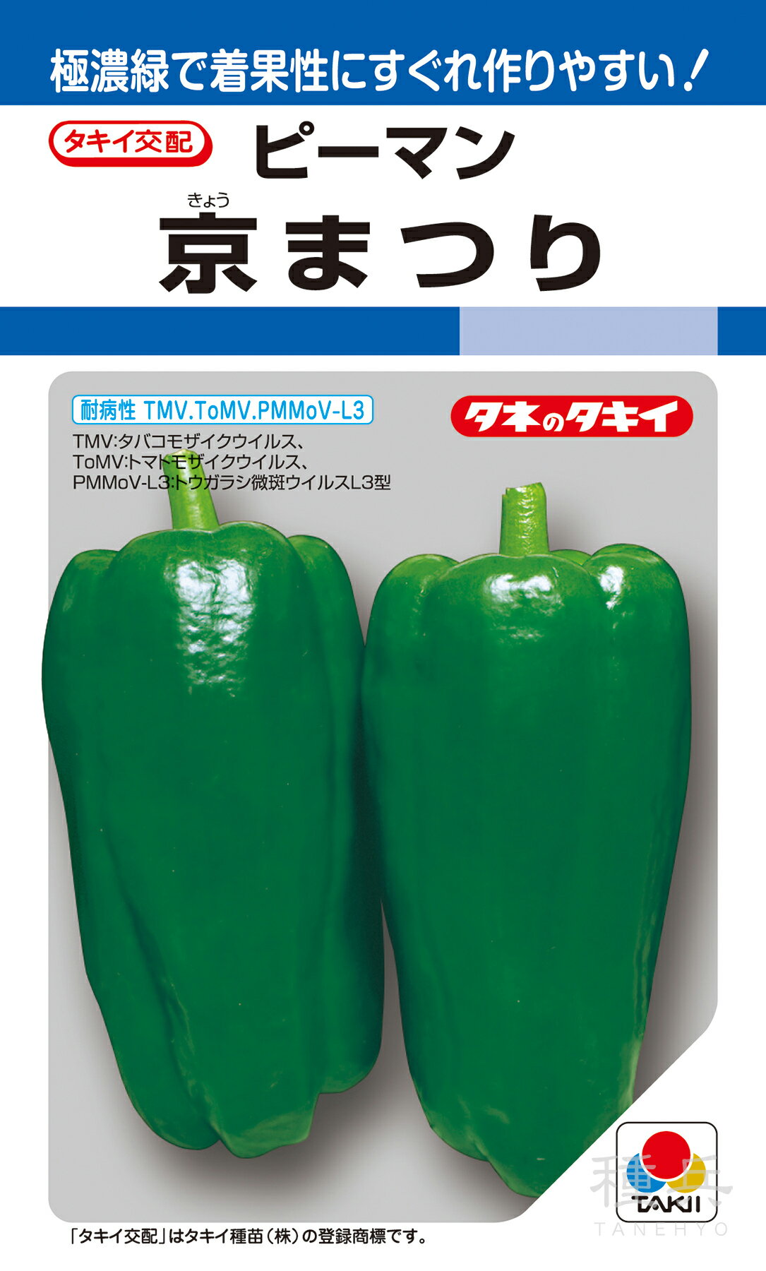 ピーマン（中型） 種 『京まつり』 APE036 タキイ種苗
