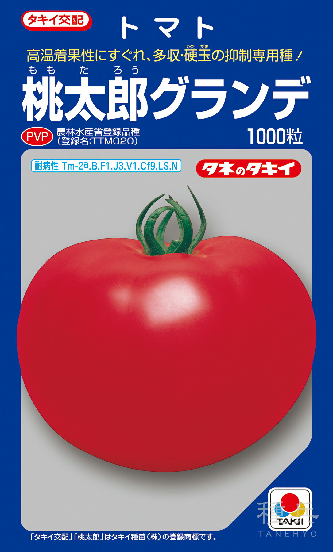 桃太郎系（ハウス）トマト 種 『桃太郎グランデ』 ATM01W タキイ種苗