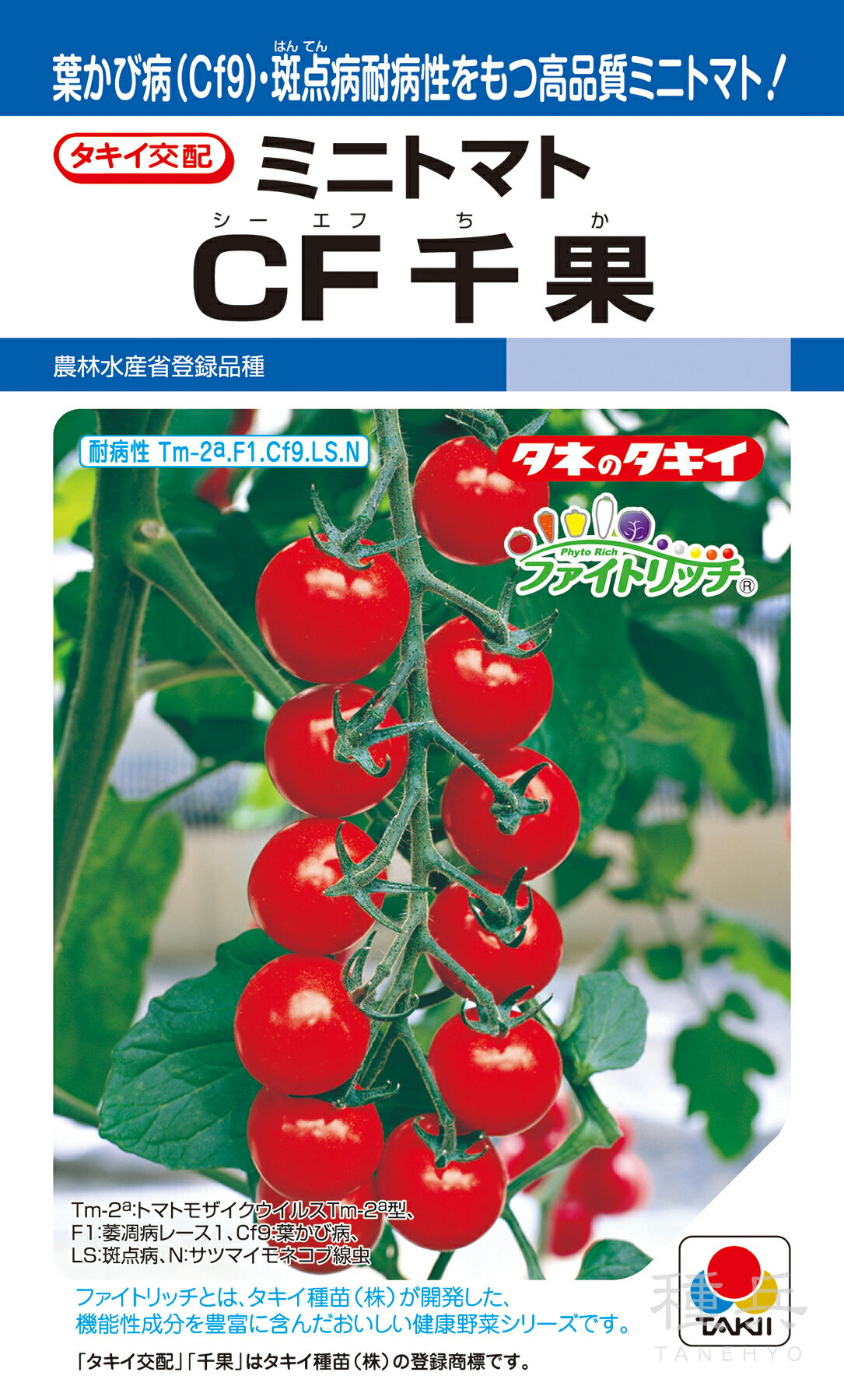 とまと購入ページ スーパーフルーツトマト 中箱 約1.2kg × 2箱 【大玉 12～15玉/1