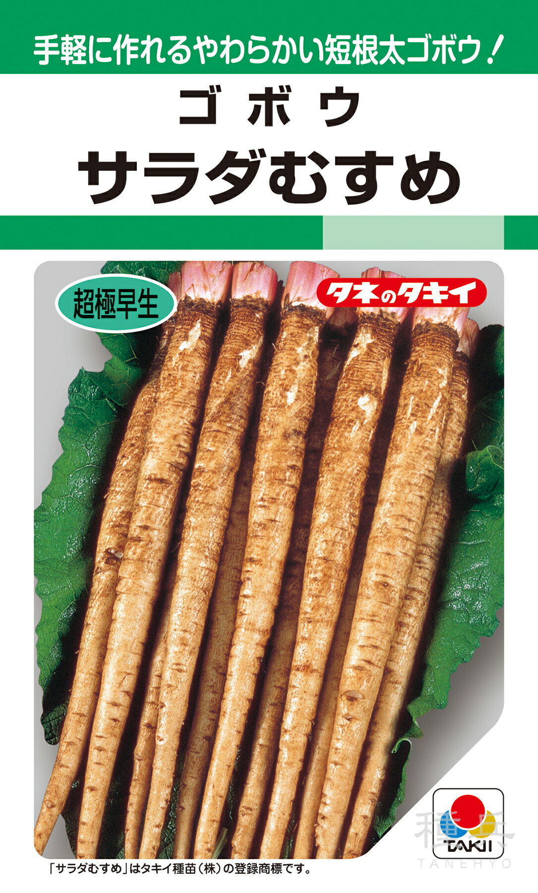 ゴボウ 種 『サラダむすめ＜てがる＞』 AGB402 タキイ種苗のサムネイル