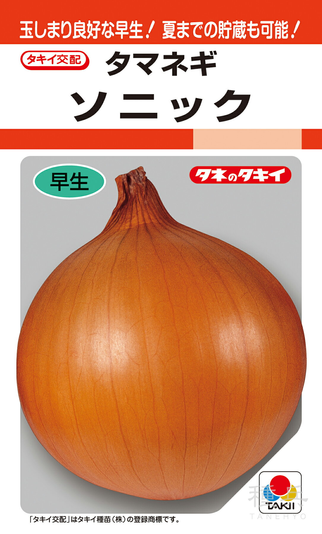 早生種タマネギ 種 『ソニック』 ATA005 タキイ種苗のサムネイル