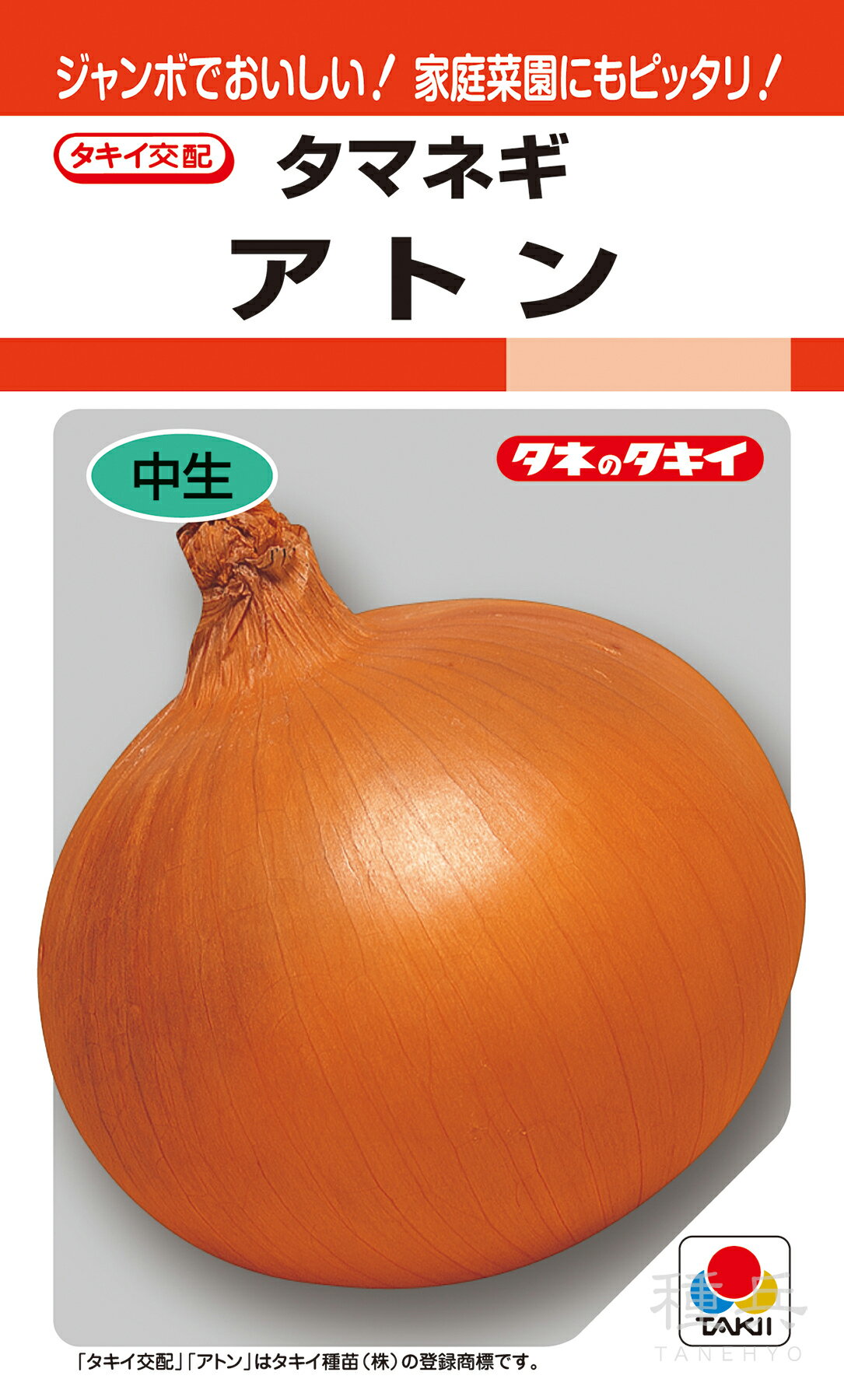 中生種タマネギ 種 『アトン』 ATA033 タキイ種苗のサムネイル