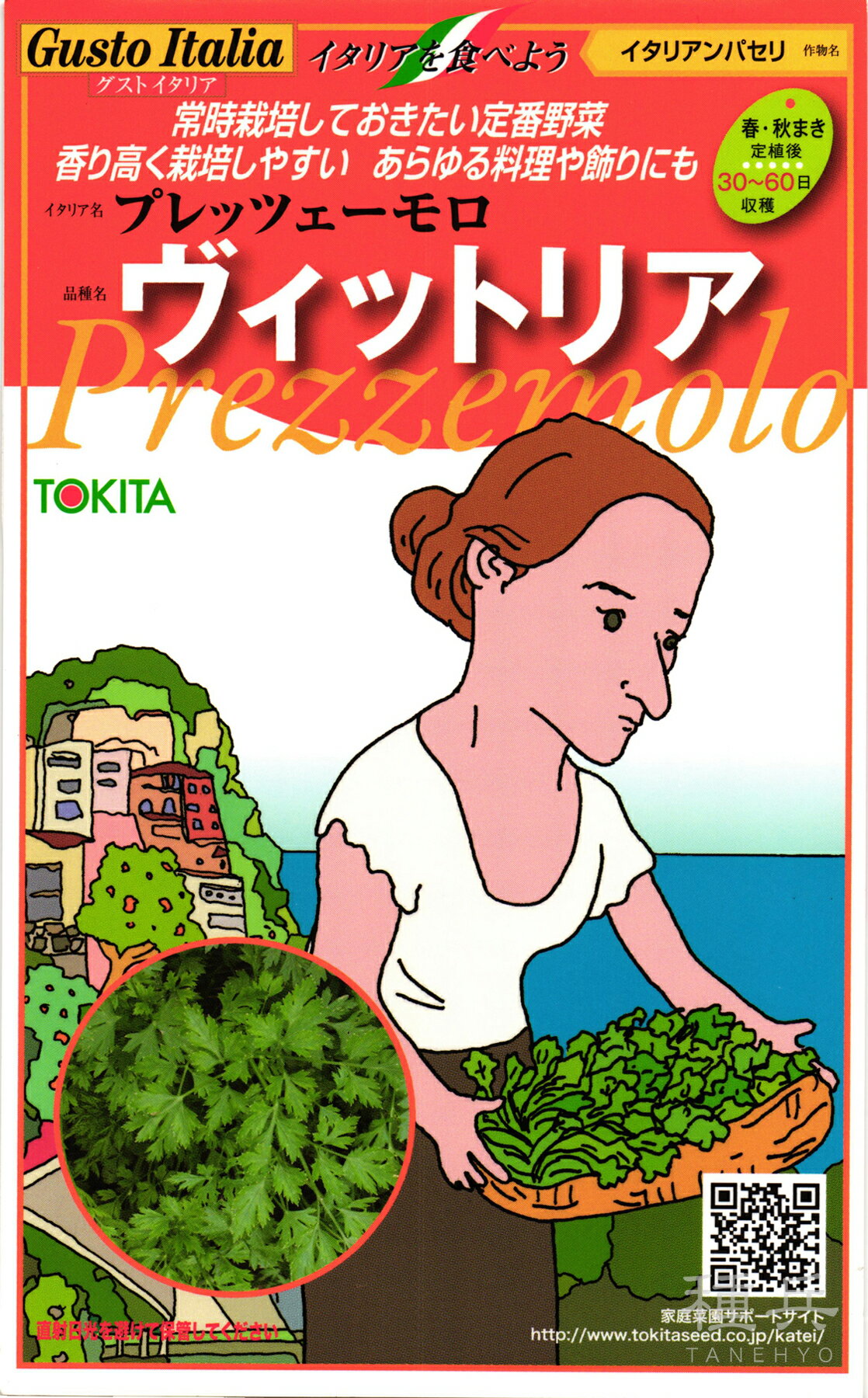 イタリアンパセリ 種 『ヴィットリア』 トキタ種苗