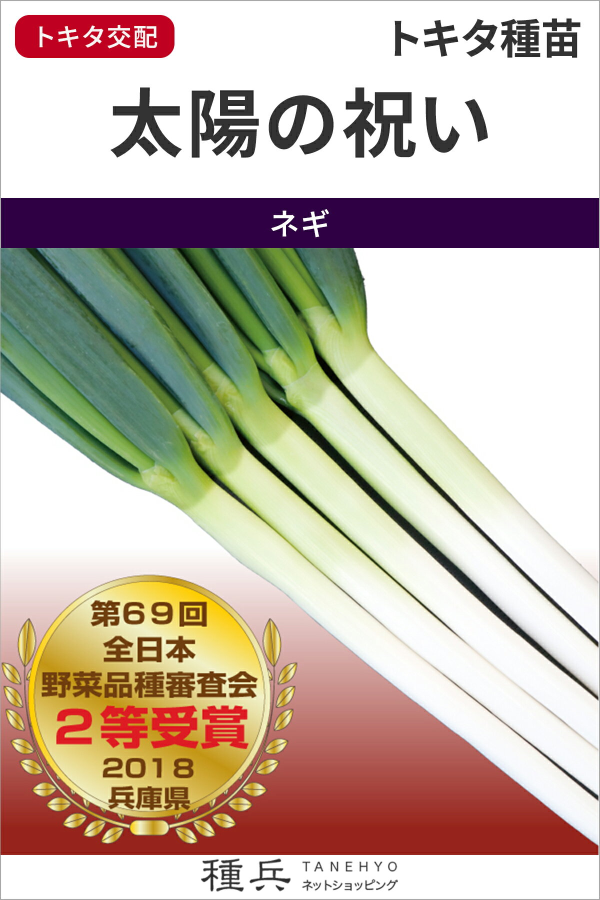 根深ネギ 種 『太陽の祝い』 トキタ種苗