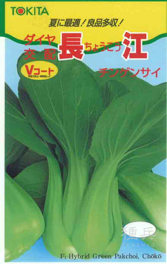 チンゲンサイ 種 『長江』 トキタ種苗
