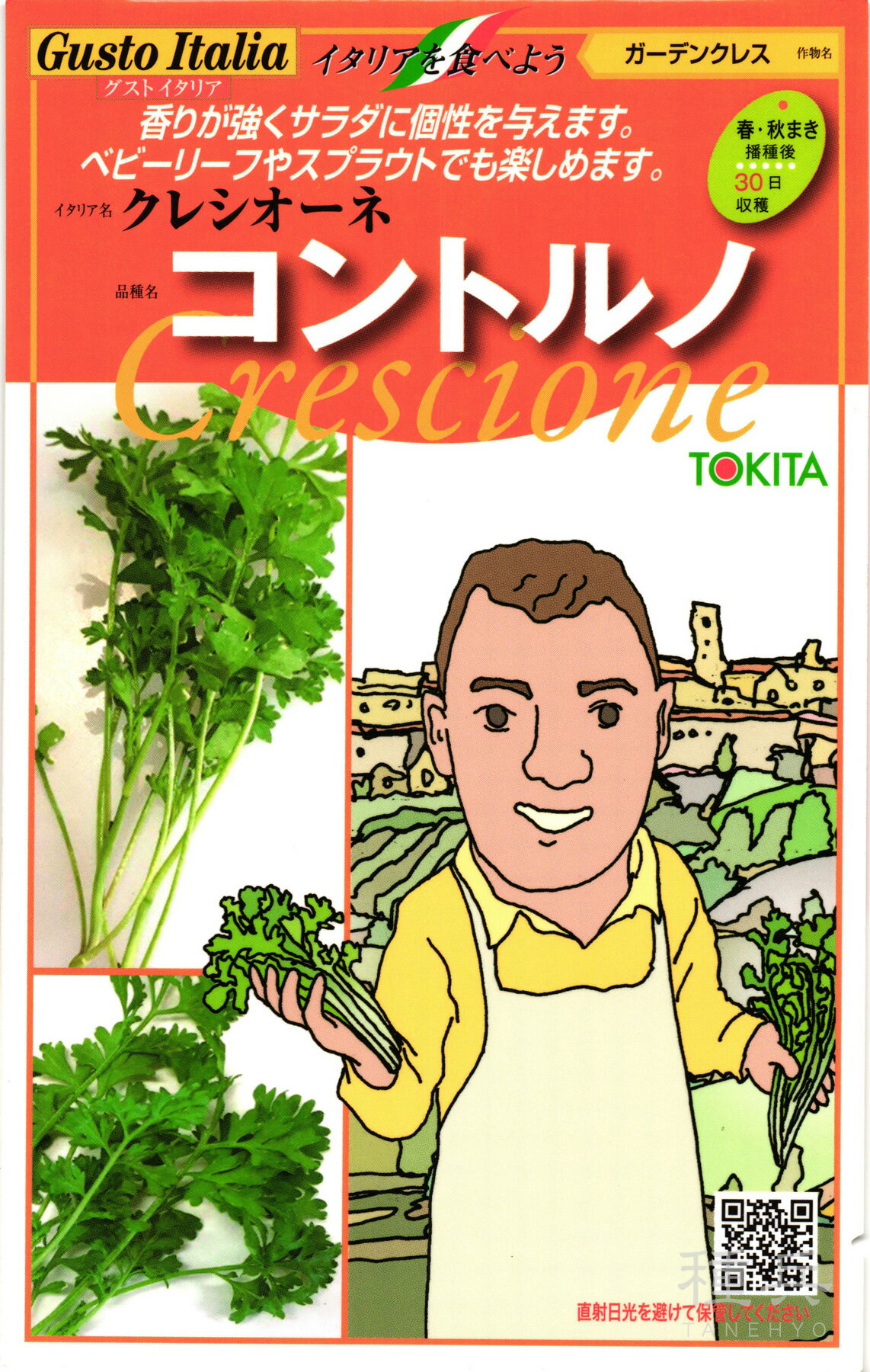 ガーデンクレソン 種 『コントルノ』 トキタ種苗