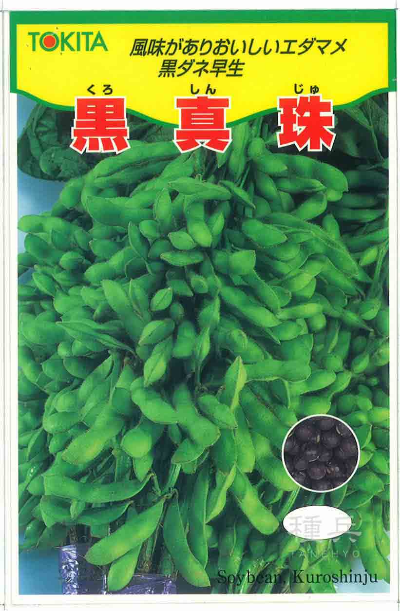 黒豆風味エダマメ 種 『黒真珠』 トキタ種苗