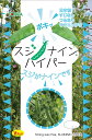 絹さやエンドウ 種 『スジナインハイパー』 トキタ種苗