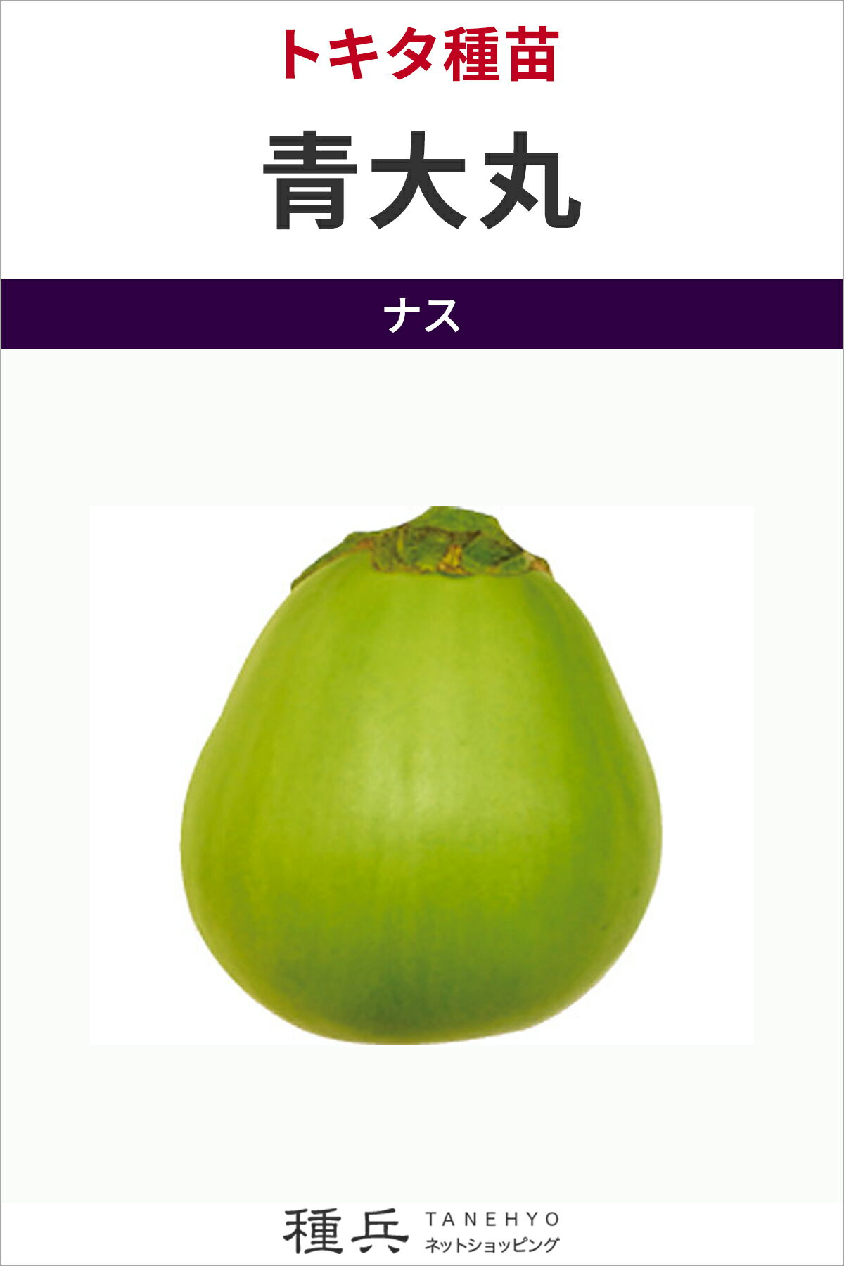 ʼͥåȥåԥ󥰤㤨ֶʥ  ݡ ȥġפβǤʤ396ߤˤʤޤ