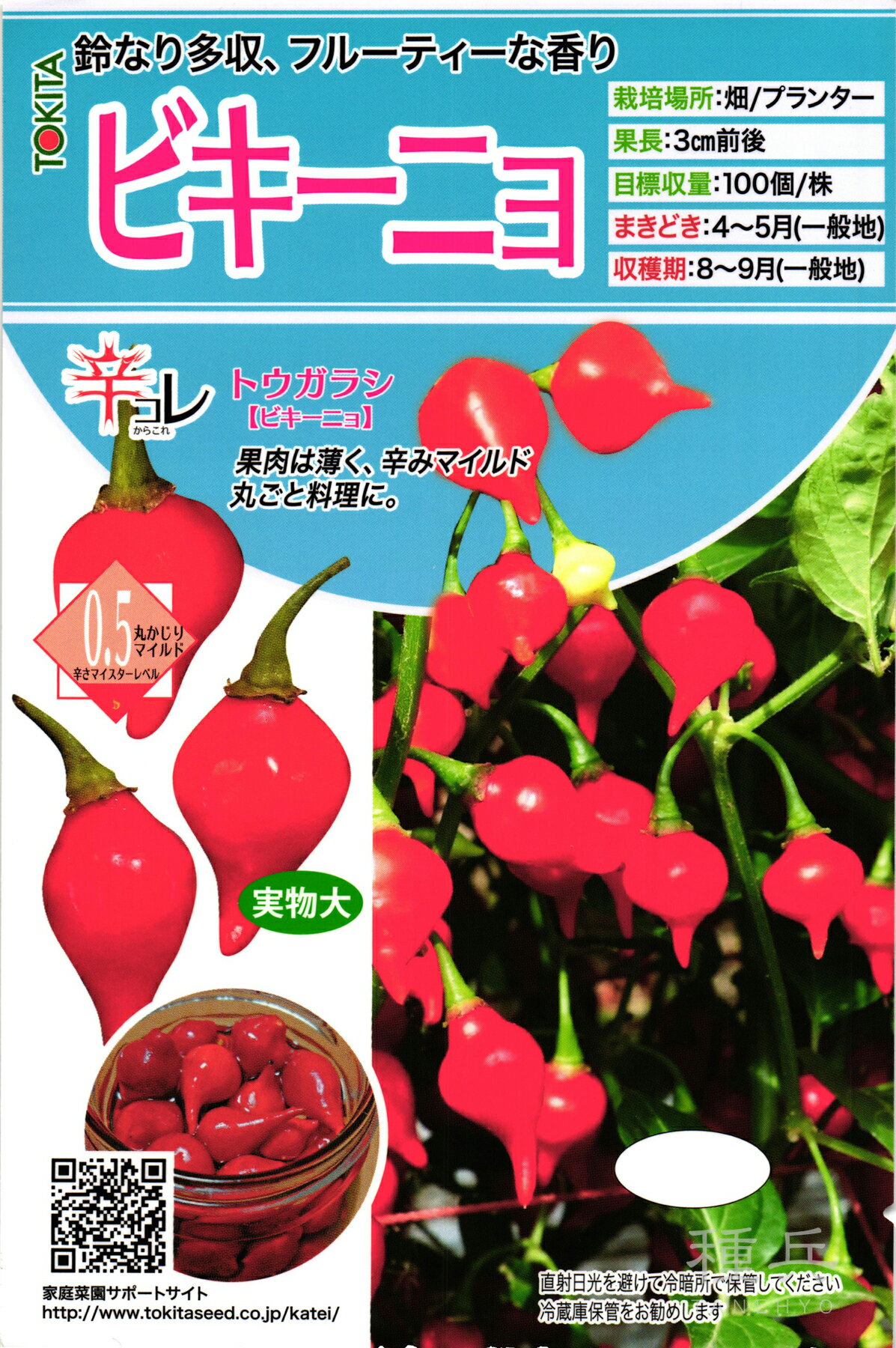 楽天市場】種 ビキーニョの通販