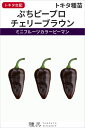 ミニフルーツカラーピーマン 種 『ぷちピープロ チェリーブラウン』 トキタ種苗