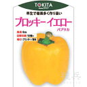 パプリカ 種 『ブロッキーイエロー3』 トキタ種苗