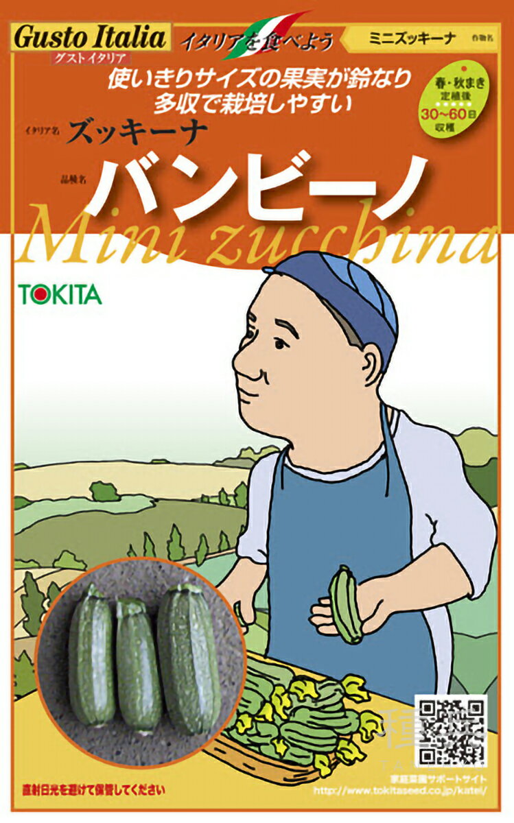 ミニズッキーニ 種 『バンビーノ』 トキタ種苗