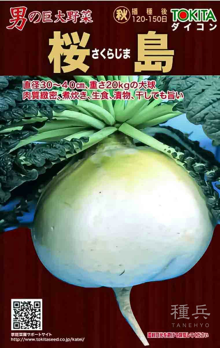 丸ダイコン 種 『桜島』 トキタ種苗