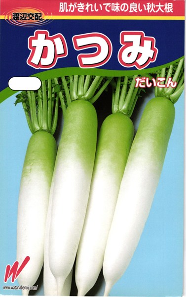 秋冬どりダイコン 種 『かつみ』 渡辺農事/コート5000粒