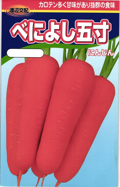 早生ニンジン 種 『べによし五寸』 渡辺農事/1200粒(小袋)のサムネイル