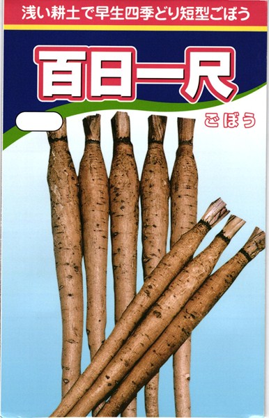 短根ゴボウ 種 『百日一尺』 渡辺農事/2dl