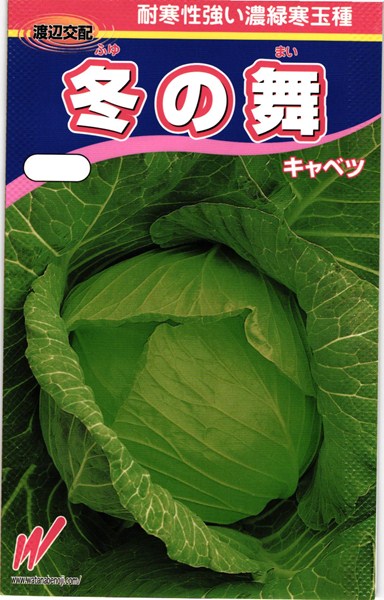 冬どりキャベツ 種 『冬の舞』 渡辺農事/130粒(小袋)