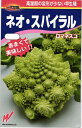ロマネスコ 種 『ネオ・スパイラル』 渡辺農事/25粒(小袋)