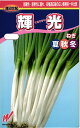根深ネギ 種 『輝光(てるひかり)』 渡辺農事/コート6000粒