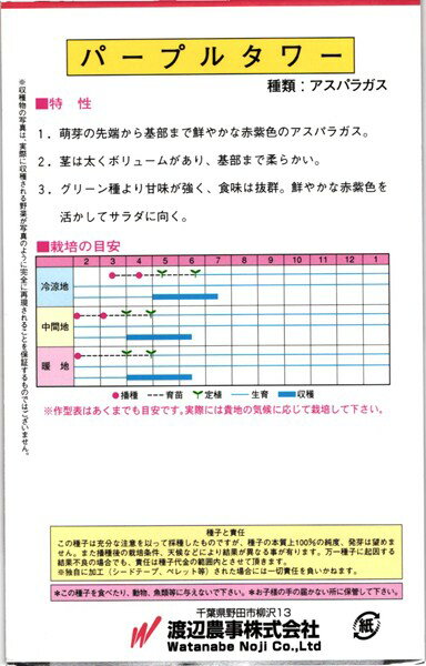 紫アスパラガス種『パープルタワー』13粒(小袋)