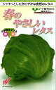 結球レタス 種 『スパーク』 渡辺農事/コート130粒