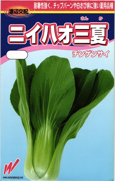 チンゲンサイ 種 『ニイハオ三夏(さんか)』 渡辺農事/コート5000粒