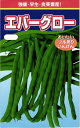 つるありインゲン 種 『エバーグロー』 渡辺農事/1dl