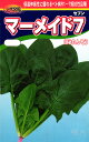 ホウレンソウ 種 『マーメイド7』 渡辺農事