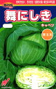 初夏・秋どりキャベツ 種 『舞にしき(NX-BY757)』 渡辺農事