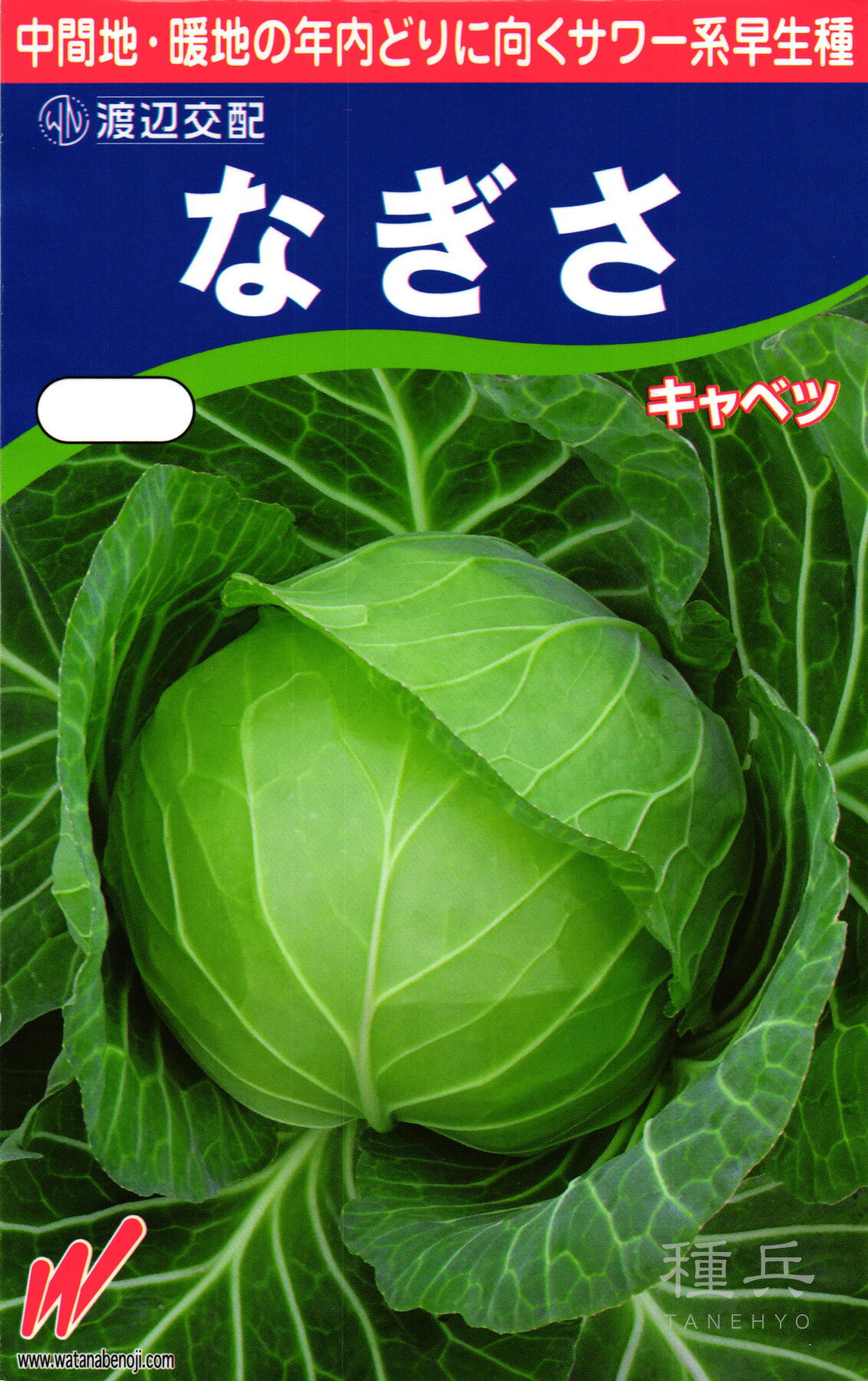 サワーキャベツ 種 『なぎさ』 渡辺農事